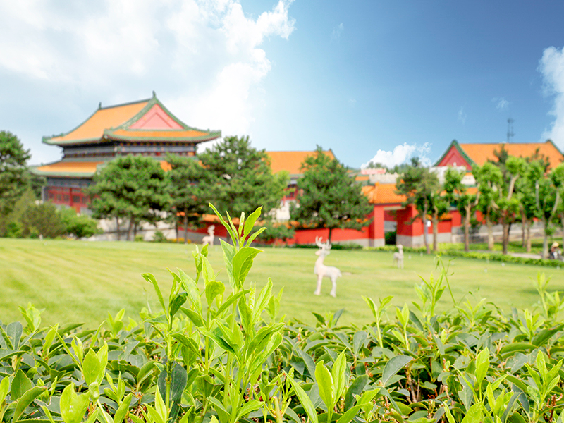 皇家龙山陵园价格有变动吗（皇家龙山陵园怎么样）