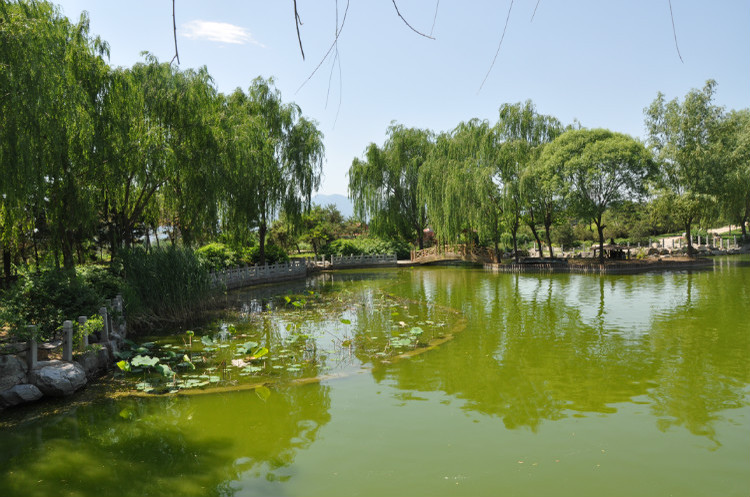 皇家龙山陵园有什么特点（皇家龙山陵园怎么样）