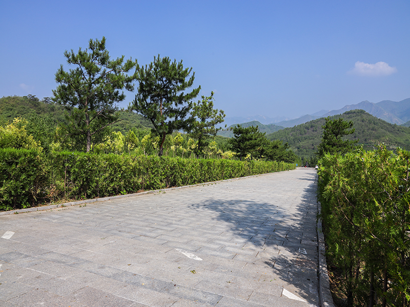 皇家龙山陵园怎么样 （陵园有哪些特色服务）