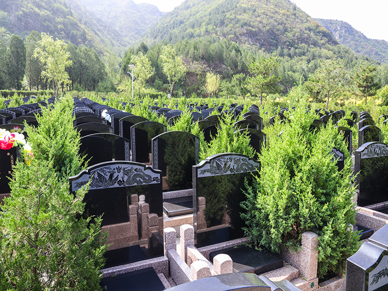 皇家龙山陵园来水电话是多少 （皇家龙山陵园的）
