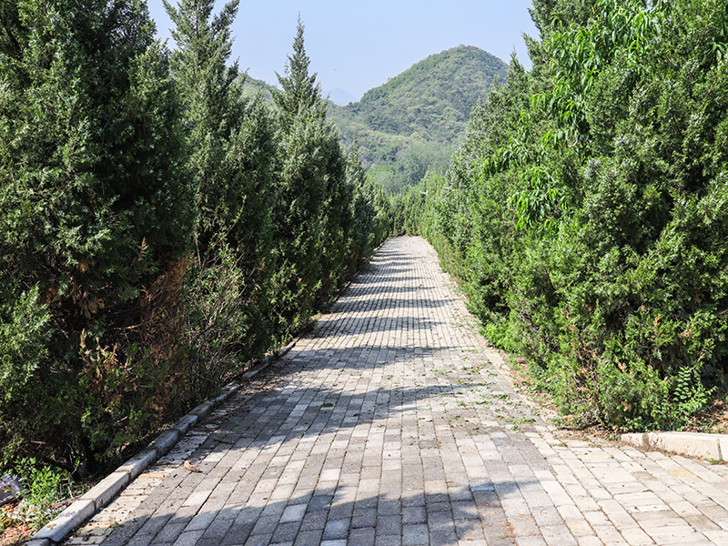 皇家龙山陵园的如何（这里墓地价格贵吗）